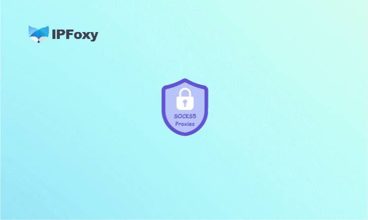 SOCKS5代理为什么总掉线？常见原因及稳定方案全解析