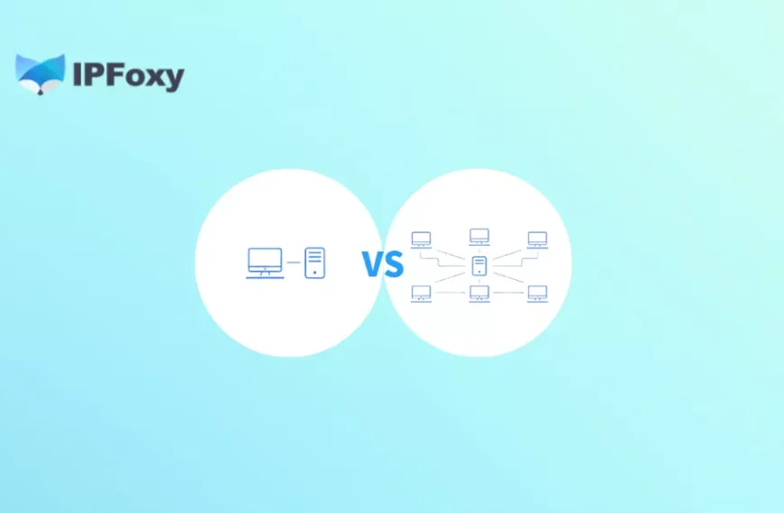 私人独享代理 VS 共享代理：哪种更适合你的业务选择？